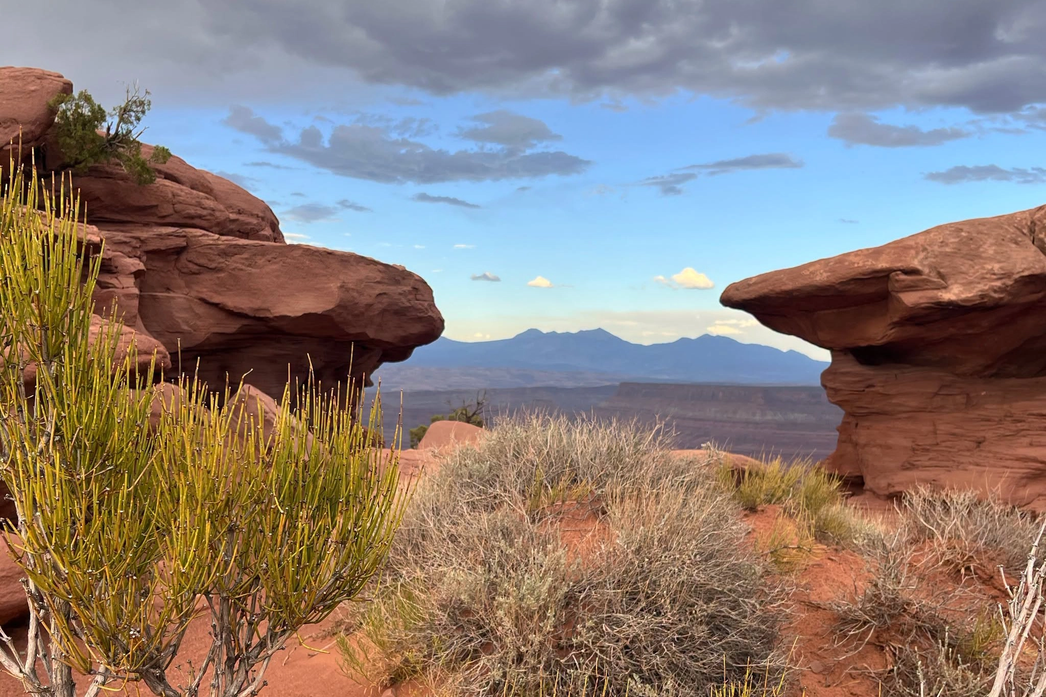 Red rock formations with desert plants in foreground and mountains in the distant background.