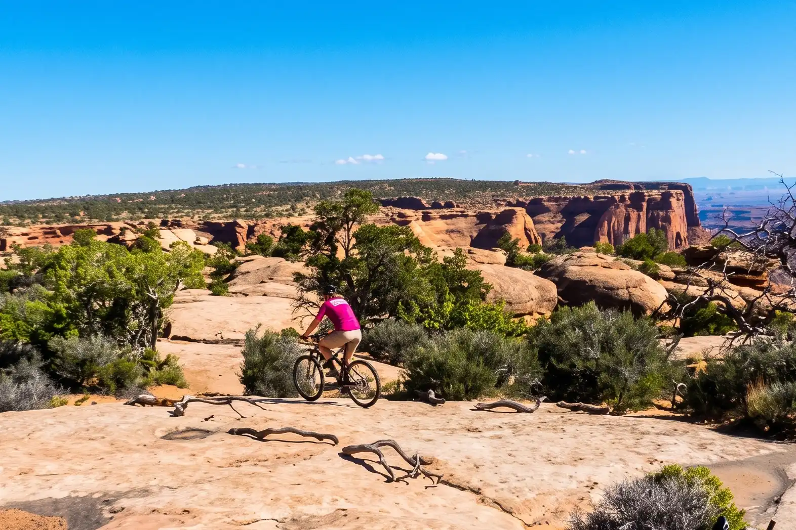 Person biking on a rocky desert trail with shrubs and red cliffs under a clear blue sky.