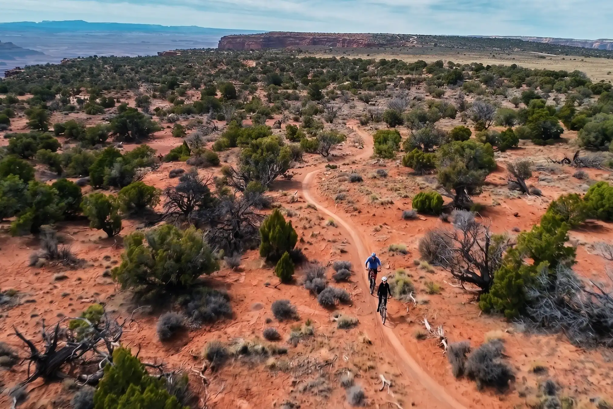 Two cyclists ride on a winding dirt trail through a desert landscape with bushes and trees.
