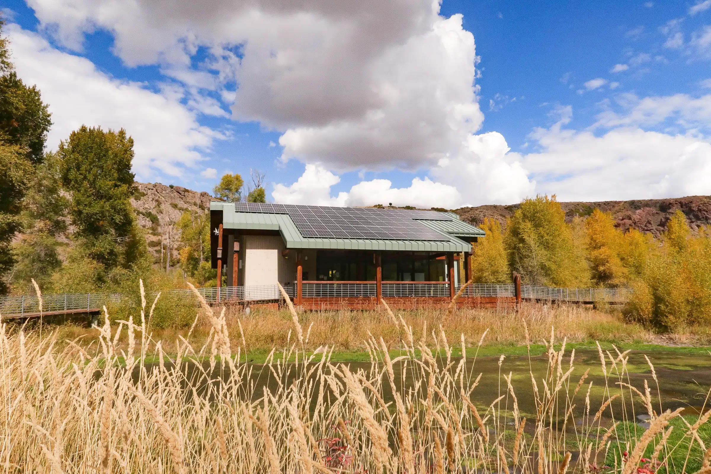 Modern building with solar panels, surrounded by tall grass and autumn trees under a blue sky.