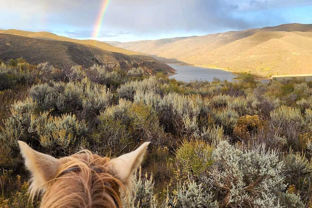 A horses ears in view, looking at a rainbow over hills and a river in the distance.