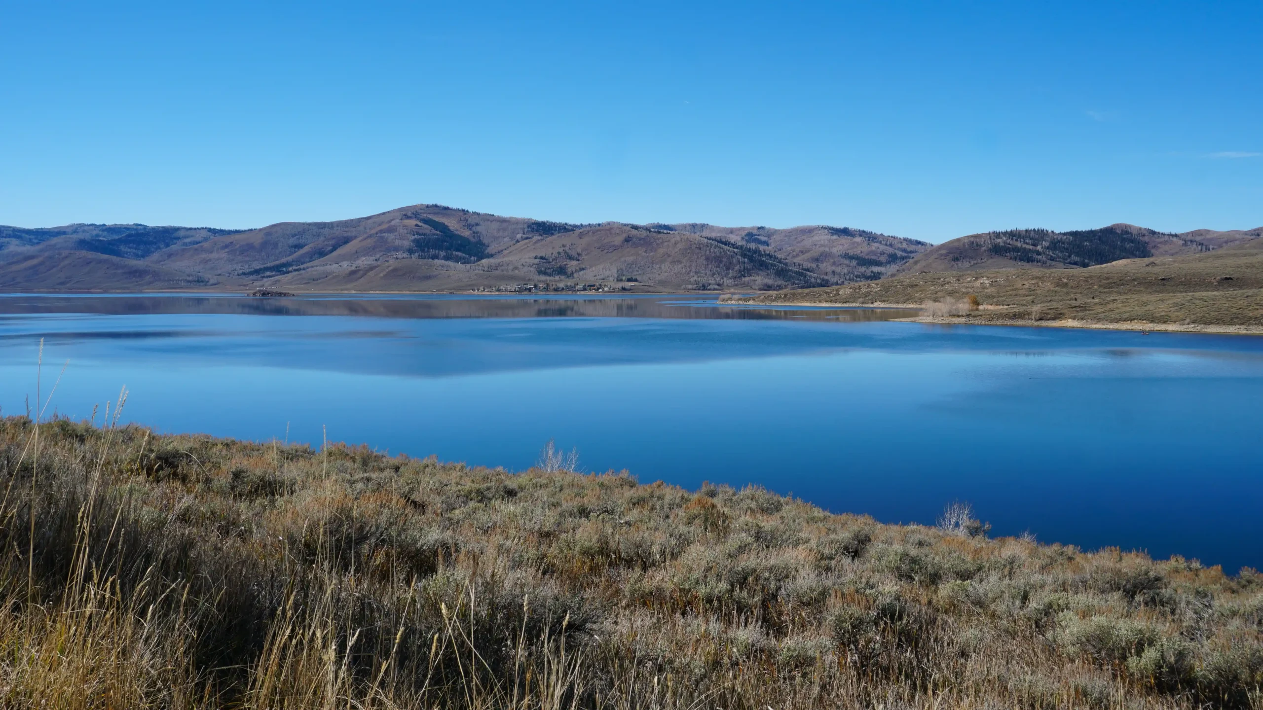 Calm blue lake with dry grass in front and hills under a clear blue sky in the background.
