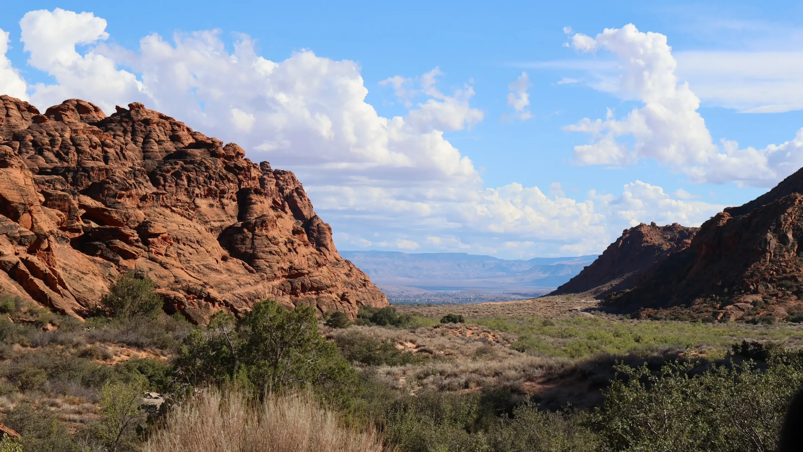 Red rock cliffs and green shrubs under a blue sky with clouds in a desert valley.