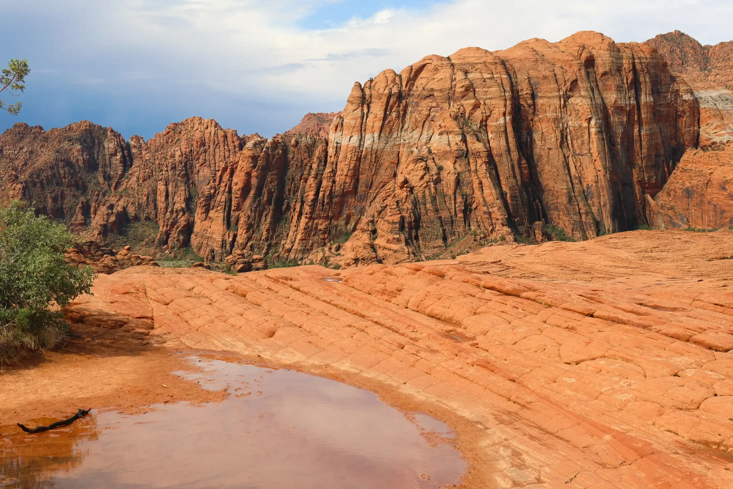 Red rock cliffs tower over striped sandstone and a pool, likely in Snow Canyon State Park, Utah.