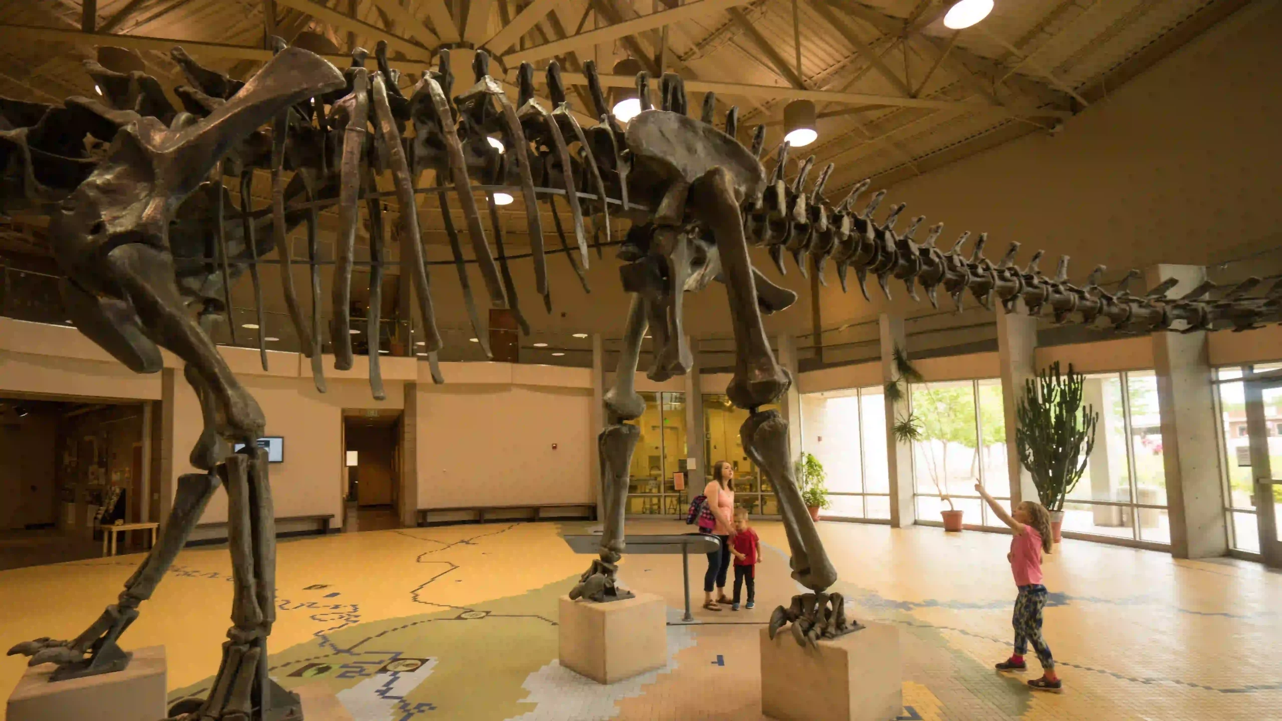 Dinosaur skeleton display in museum with children looking up at it.