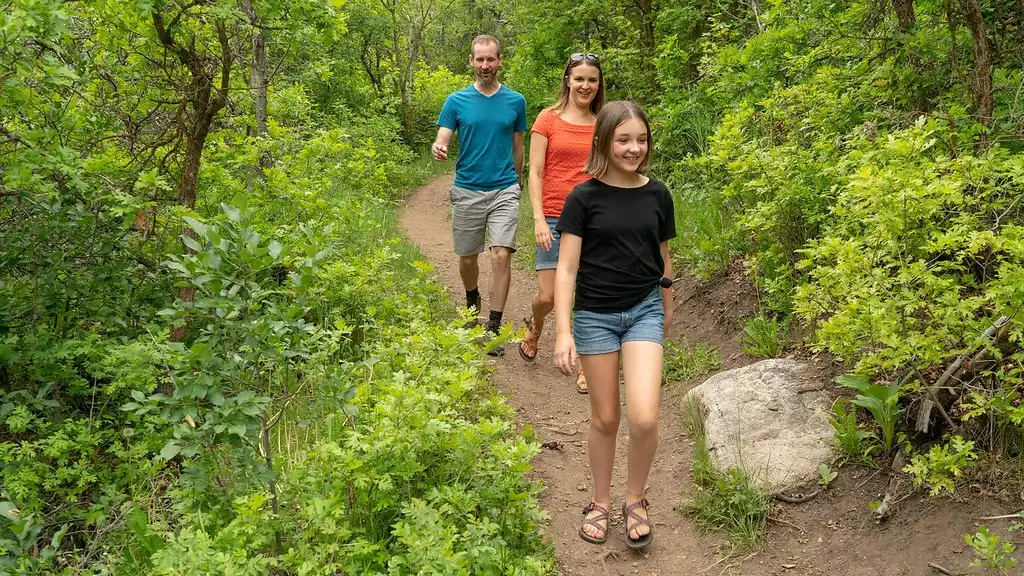 Three people walk on a dirt trail through green forest on a sunny day.