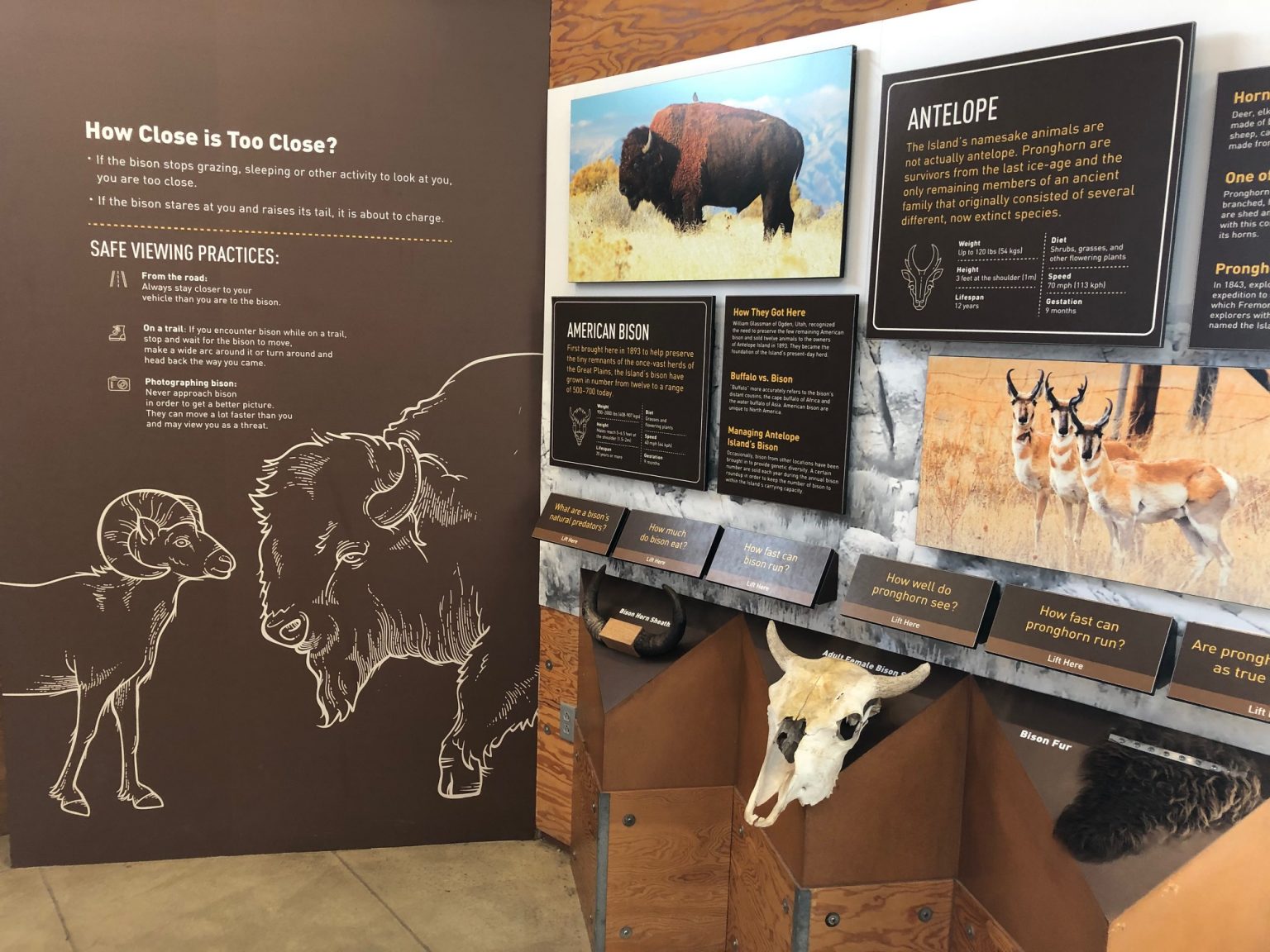 usafa visitor center gift shop