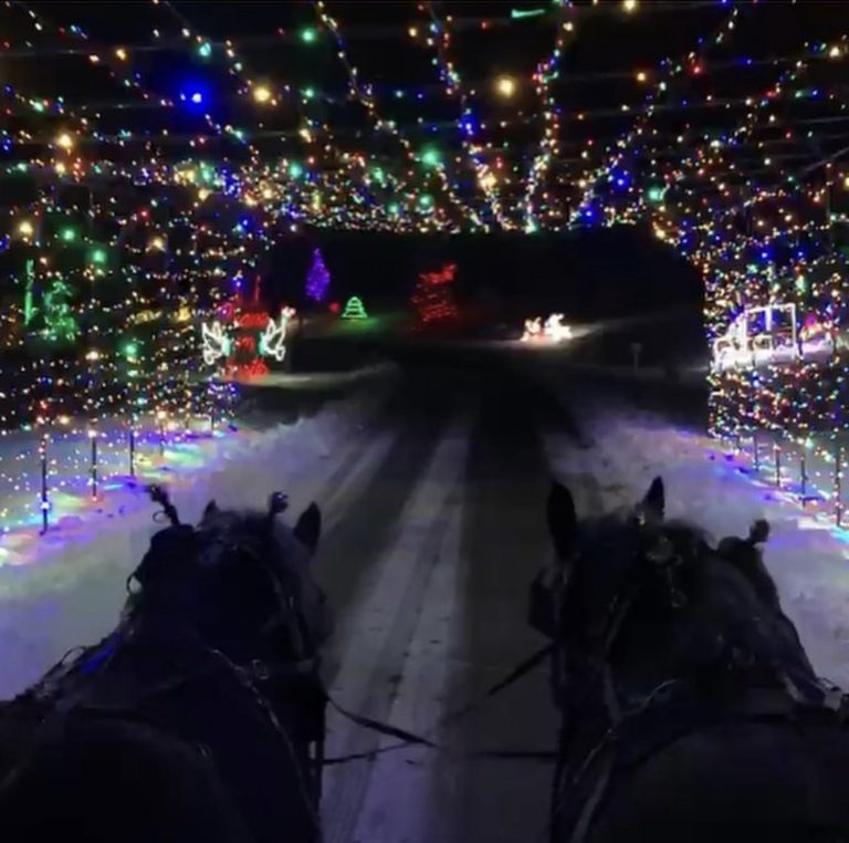 Holiday Lights & Events 2021 Utah State Parks