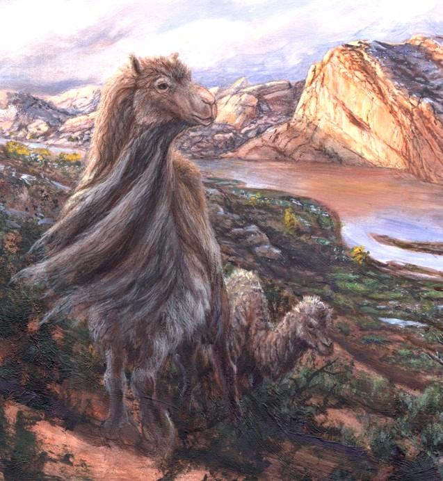 a drawing of a camel in sandstone cliffs and shrub