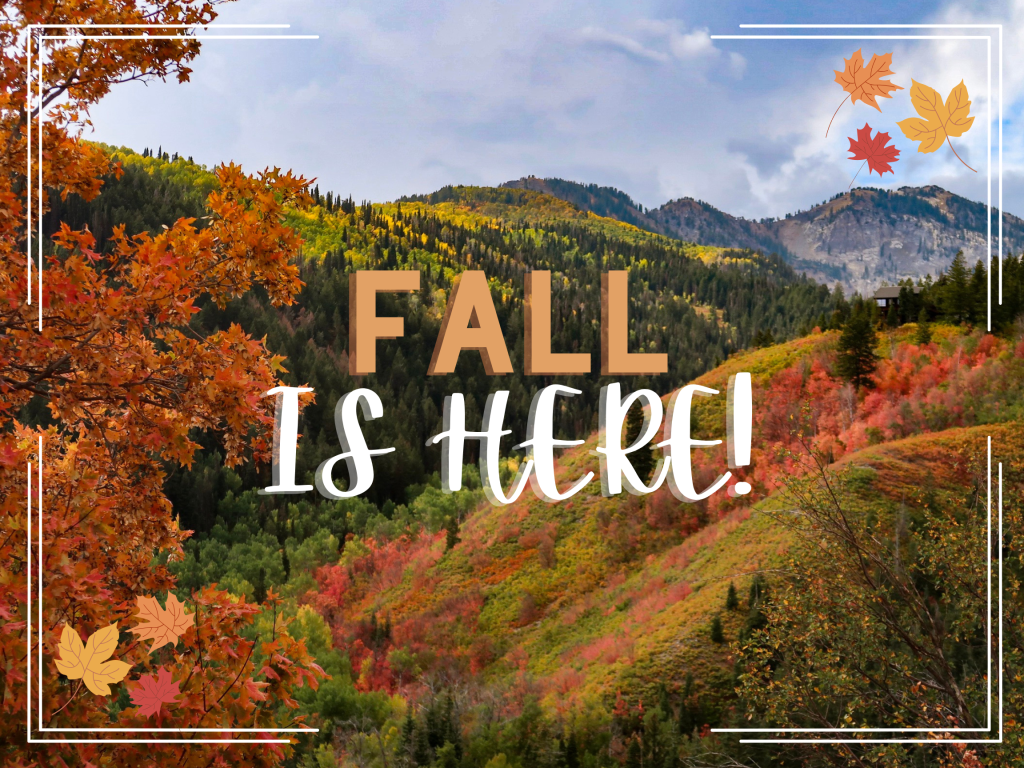 Red, orange, yellow, and green leafed trees on a mountainside with the text fall is here